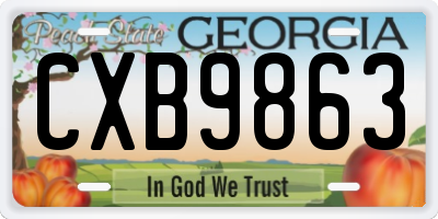 GA license plate CXB9863