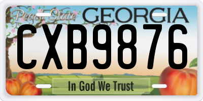 GA license plate CXB9876