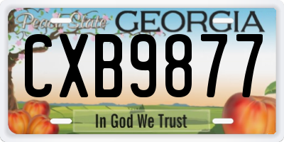 GA license plate CXB9877