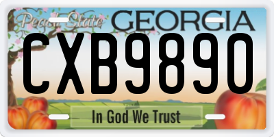 GA license plate CXB9890