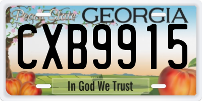 GA license plate CXB9915