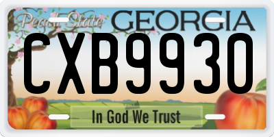GA license plate CXB9930