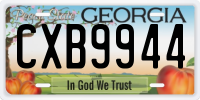 GA license plate CXB9944