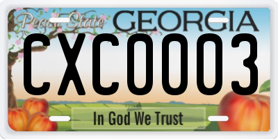 GA license plate CXC0003
