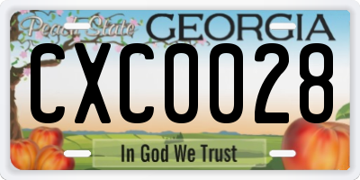 GA license plate CXC0028