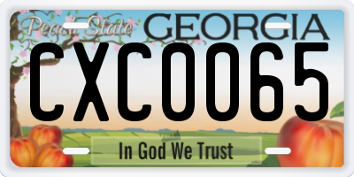 GA license plate CXC0065
