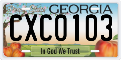 GA license plate CXC0103