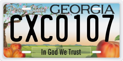 GA license plate CXC0107