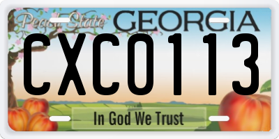 GA license plate CXC0113