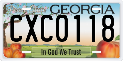 GA license plate CXC0118