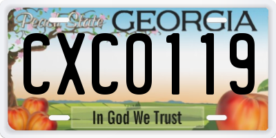 GA license plate CXC0119