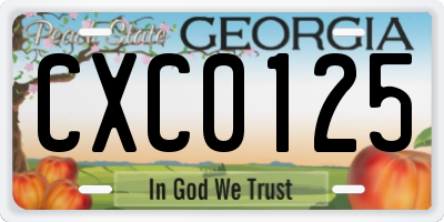 GA license plate CXC0125