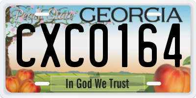GA license plate CXC0164