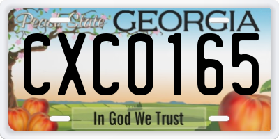 GA license plate CXC0165