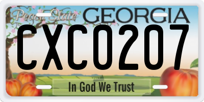 GA license plate CXC0207