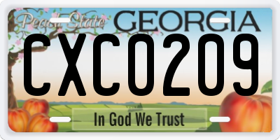 GA license plate CXC0209