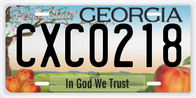 GA license plate CXC0218