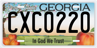 GA license plate CXC0220