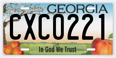 GA license plate CXC0221