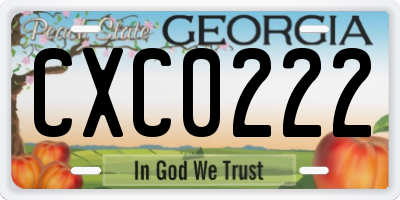 GA license plate CXC0222