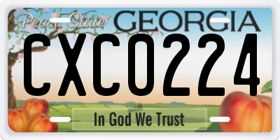 GA license plate CXC0224