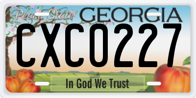 GA license plate CXC0227