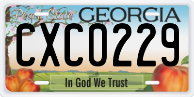 GA license plate CXC0229