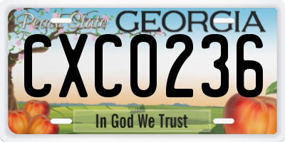 GA license plate CXC0236