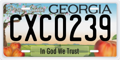 GA license plate CXC0239