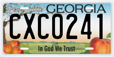 GA license plate CXC0241