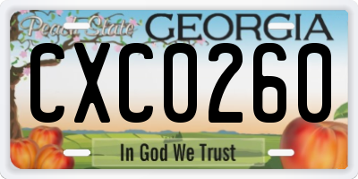 GA license plate CXC0260