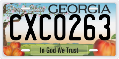 GA license plate CXC0263