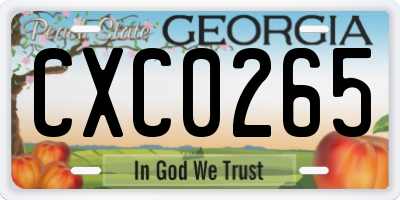 GA license plate CXC0265