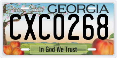 GA license plate CXC0268