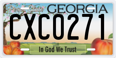 GA license plate CXC0271
