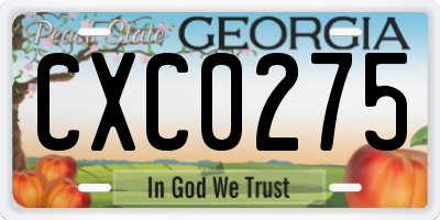 GA license plate CXC0275
