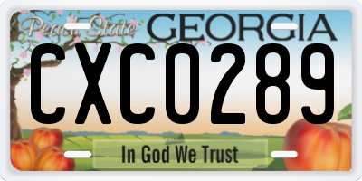 GA license plate CXC0289