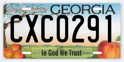 GA license plate CXC0291