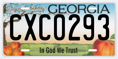 GA license plate CXC0293