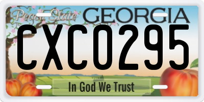 GA license plate CXC0295