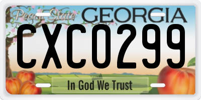 GA license plate CXC0299