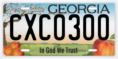 GA license plate CXC0300