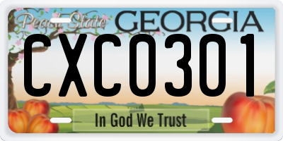 GA license plate CXC0301