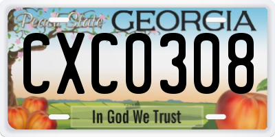 GA license plate CXC0308