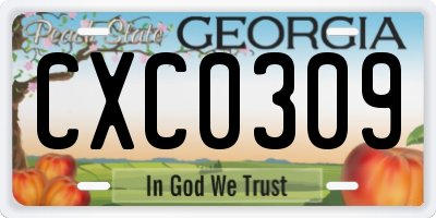 GA license plate CXC0309