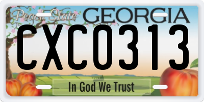 GA license plate CXC0313