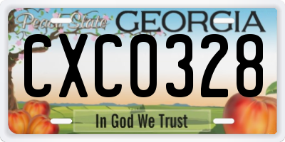 GA license plate CXC0328