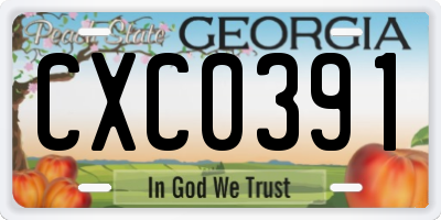 GA license plate CXC0391