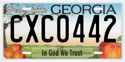 GA license plate CXC0442