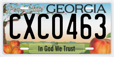 GA license plate CXC0463